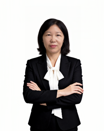 陈芝龙